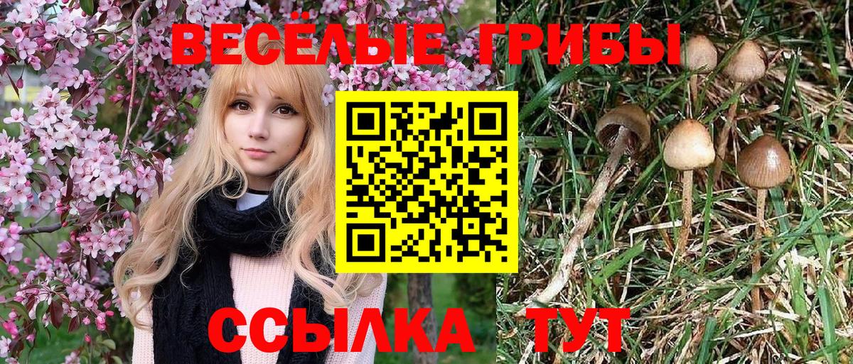 Галлюциногенные грибы Psilocybine cubensis  Вход с VPN  закладки  Надым 